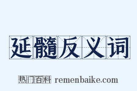 延髓反义词是什么意思的图片